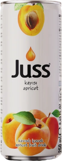 Juss Apricot, 250 ml Can