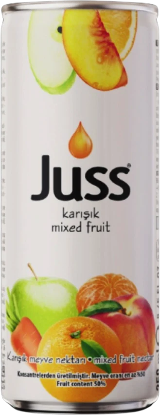 Juss Mango, 250 ml Can